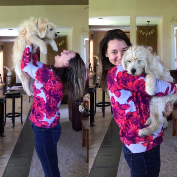 Meet your Posher, Stephanie - Picture 6 of 8